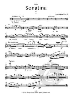 Sonatina von Mark Goddard 