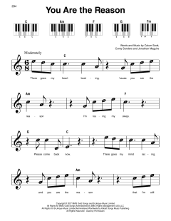 You Are The Reason von Calum Scott (Download) 