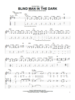 Blind Man In The Dark von Warren Haynes (Download) 
