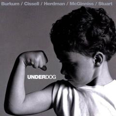 Mighty Good Leader von Audio Adrenaline (Download) 