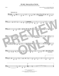 Pure Imagination (Download) 