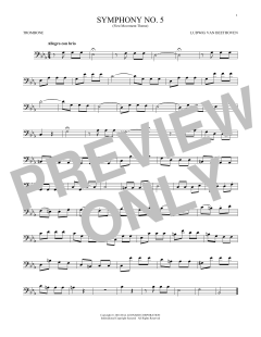 Symphony No. 5 In C Minor, First Movement Excerpt (Download) 