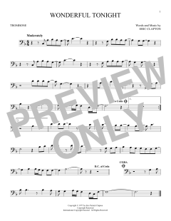 Wonderful Tonight (Download) 