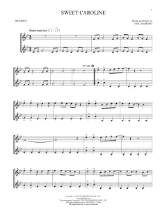 Sweet Caroline (Download) 