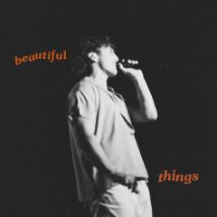 Beautiful Things (Download) 
