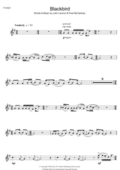 Blackbird (Download) 