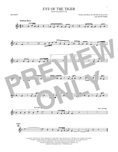 Eye Of The Tiger (Download) 