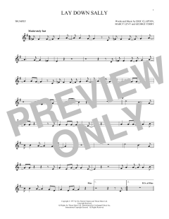 Lay Down Sally (Download) 