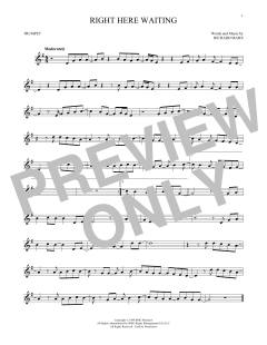 Right Here Waiting (Download) 