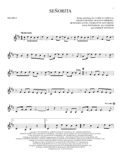 Señorita (Download) 