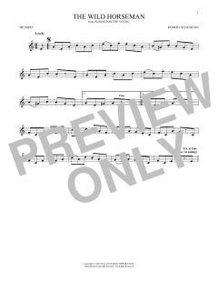 The Wild Horseman (Download) 
