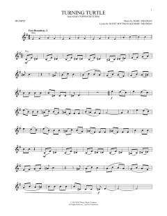 Turning Turtle (Download) 