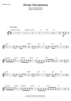 Winter Wonderland (Download) 