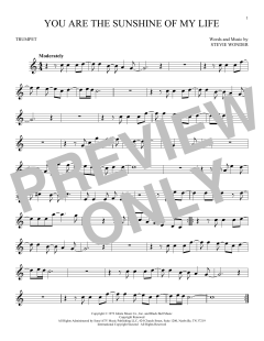 You Are The Sunshine Of My Life (Download) 