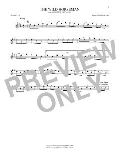 The Wild Horseman (Download) 