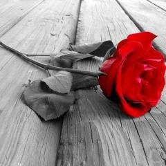 My One And Only Love (Download) 