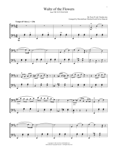 Waltz Of The Flowers von Mr. & Mrs. Cello (Download) 
