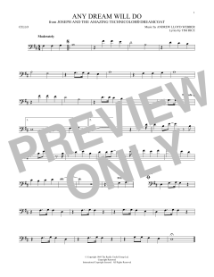 Any Dream Will Do von Tim Rice (Download) 