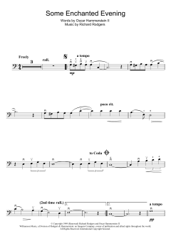 Some Enchanted Evening von Richard Rodgers (Download) 