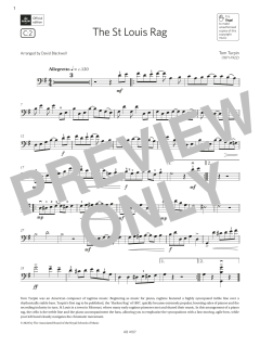 The St Louis Rag von Tom Turpin (Download) 