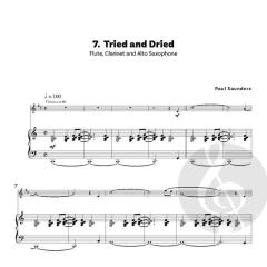 So You Want To Play In Shows? von Paul Saunders (Download) 