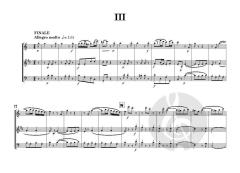 Trio op. 12 No. 3 in C minor von Eugène Walckiers 