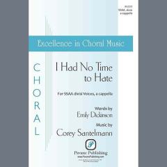 I Had No Time To Hate von Corey Santelmann (Download) 