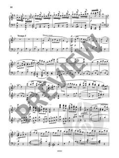 Piano Symphony in B minor  von Leokadiya Kashperova 