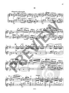 Piano Symphony in B minor  von Leokadiya Kashperova 