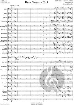 Horn Concerto No. 1 von Richard Strauss (Download) 