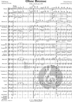 Ohne Bremse von Eduard Strauss (Download) 