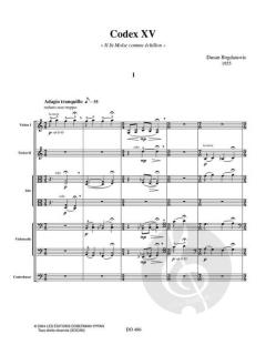 Codex XV von Dusan Bogdanovic 