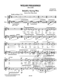 Welsh Folksongs von Stephen Goss 