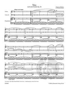 Trio von Johannes Brahms 