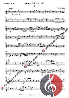 Grand Trio op. 87 von Ludwig van Beethoven 