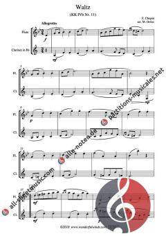2 Waltzes von Frédéric Chopin 