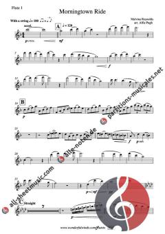 Morningtown Ride von Malvina Reynolds (Download) 
