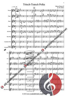 Tritsch Tratsch Polka von Johann Strauss (Sohn) 