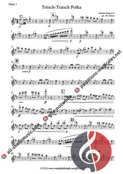 Tritsch Tratsch Polka von Johann Strauss (Sohn) 