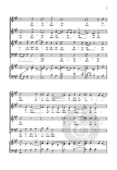 Ave, Maria von Giovanni Pierluigi da Palestrina (Download) 