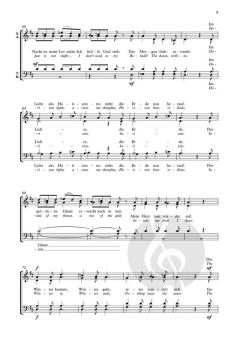 Geheimnis der Dämmerung von Reena Esmail (Download) 