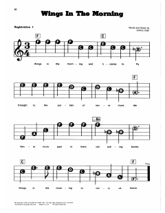 Wings In The Morning von Johnny Cash (Download) 