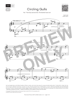 Circling Gulls von Joan Last (Download) 