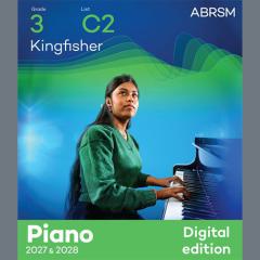 Kingfisher von Leslie Fly (Download) 