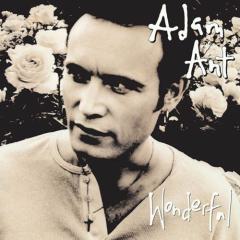 Wonderful von Adam Ant (Download) 
