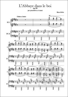 L'Abbaye dans le boi op. 35 von Marco Sollini 