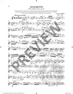 Sheila M. Nelson's Romantic Violinist 