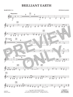 Brilliant Earth von Peter Sciaino (Download) 