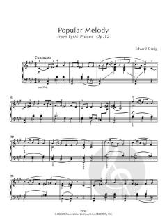 More Essential Piano Repertoire Grade 6 von Johann Sebastian Bach (Download) 