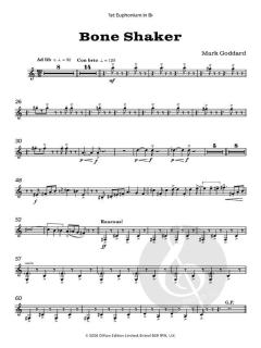 Bone Shaker von Mark Goddard (Download) 